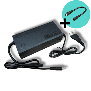 Caricatore  Li-ion 12V 8A
