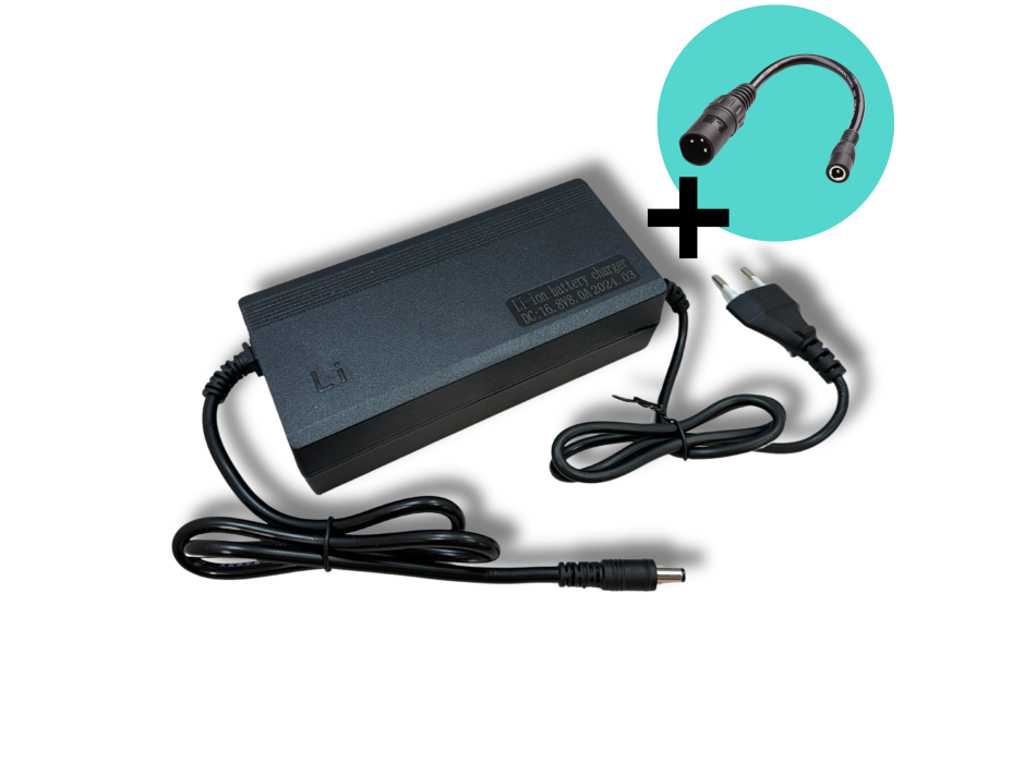 Caricatore  Li-ion 12V 8A