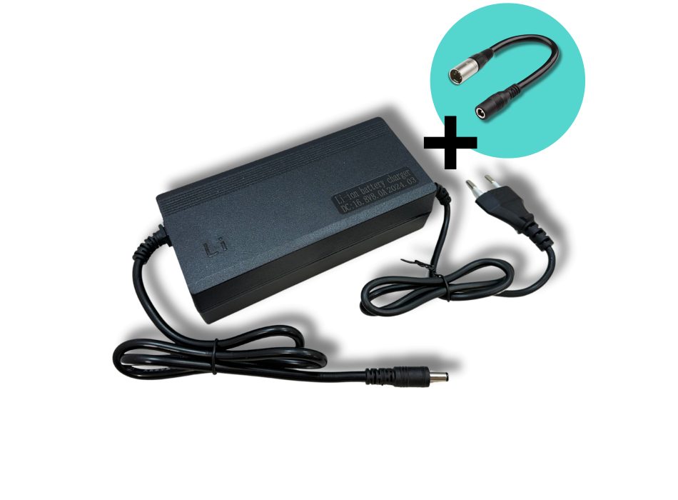 Caricatore  Li-ion 12V 8A