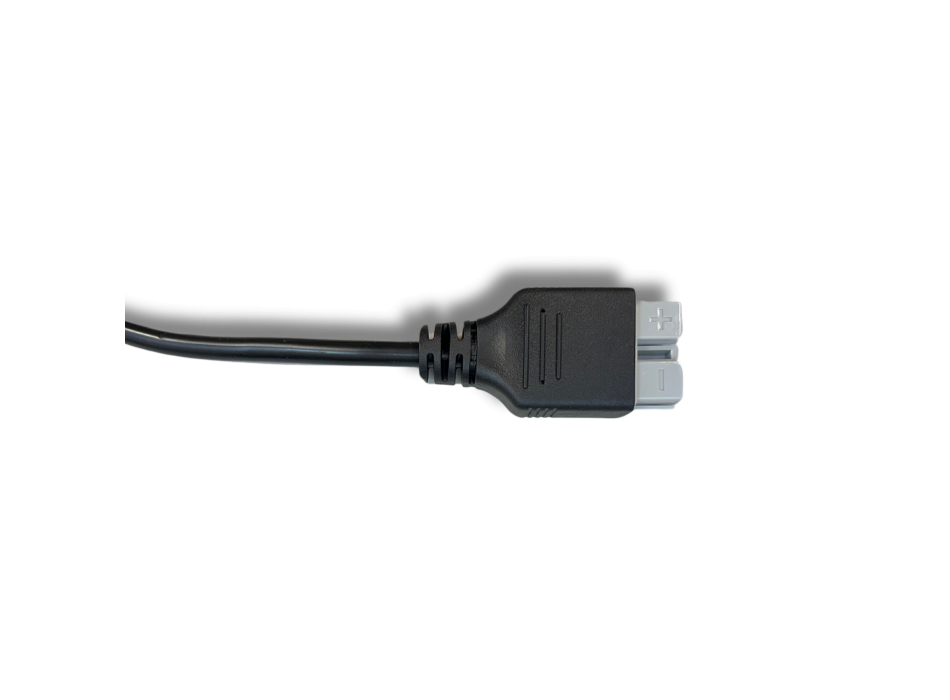 Caricatore Li-ion 24V 20A