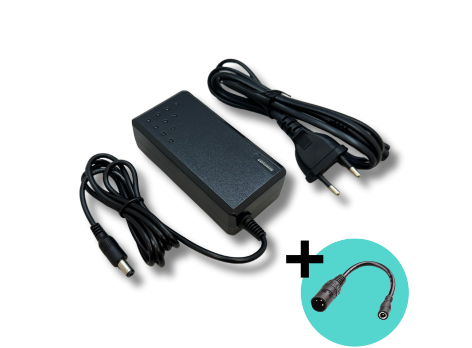 Caricatore  Li-ion 24V 2A