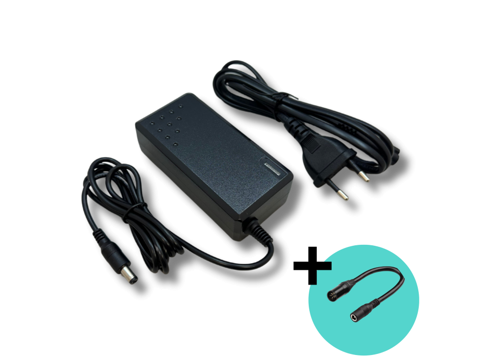 Caricatore  Li-ion 24V 2A