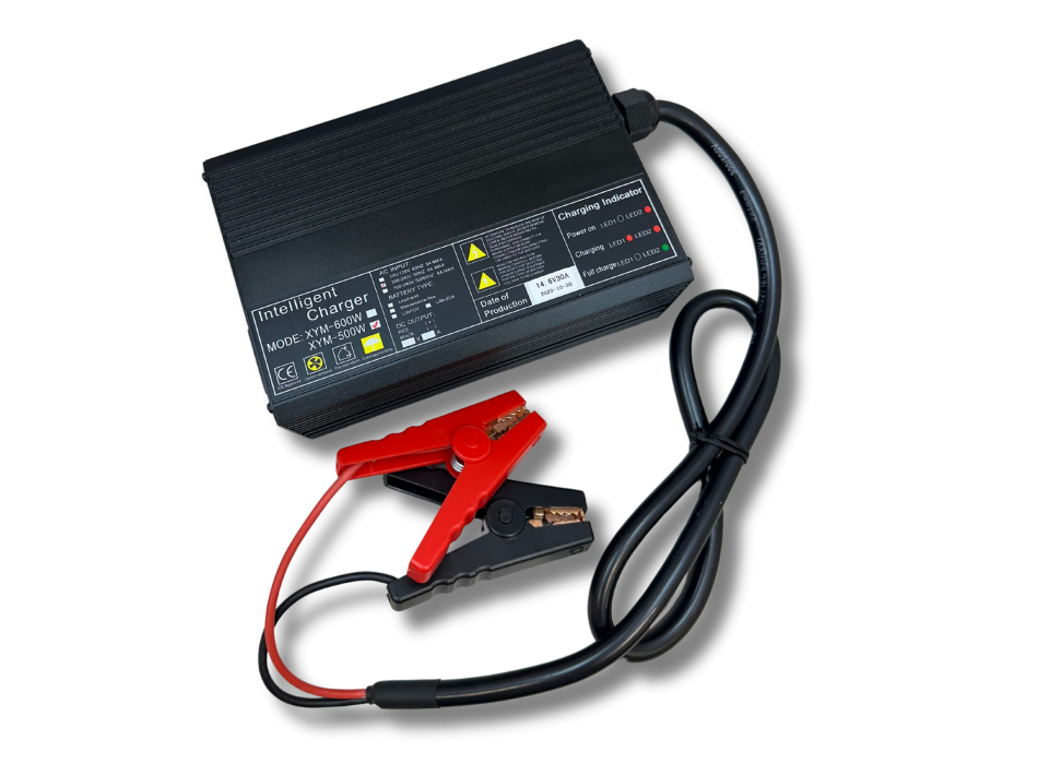 Caricatore LiFePO4 12V 30A