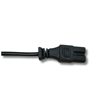 Caricatore LiFePO4 24V 10A