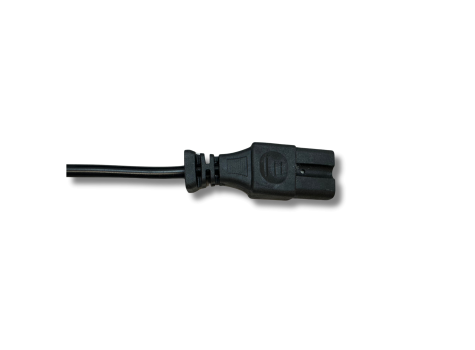 Caricatore LiFePO4 24V 10A