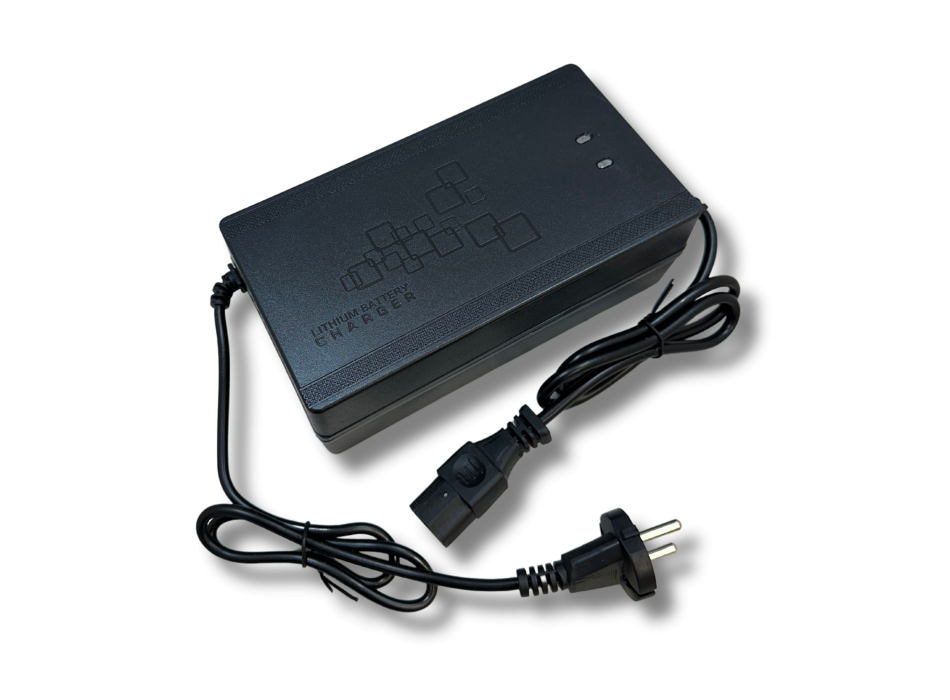 Caricatore LiFePO4 24V 10A