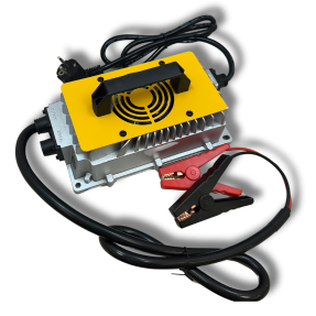 Caricatore LiFePO4 24V 30A