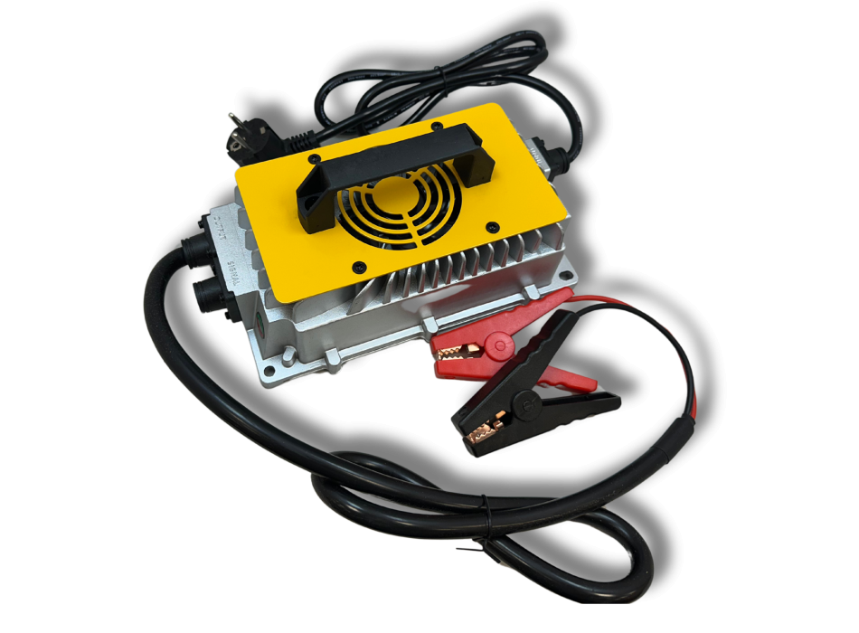 Caricatore LiFePO4 24V 30A