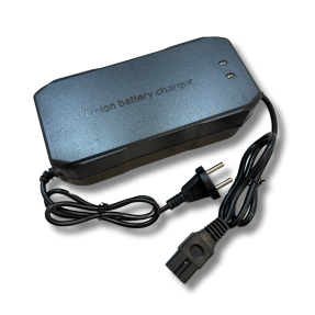 Caricatore LiFePO4 48V 10A