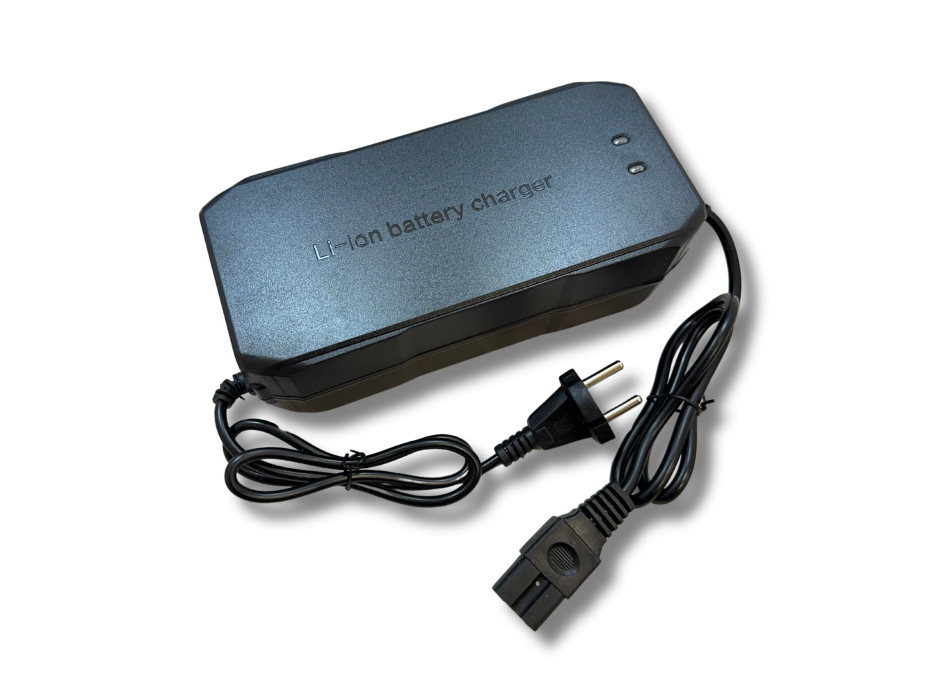 Caricatore LiFePO4 48V 10A