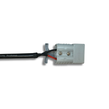 Caricatore LiFePO4 48V 30A