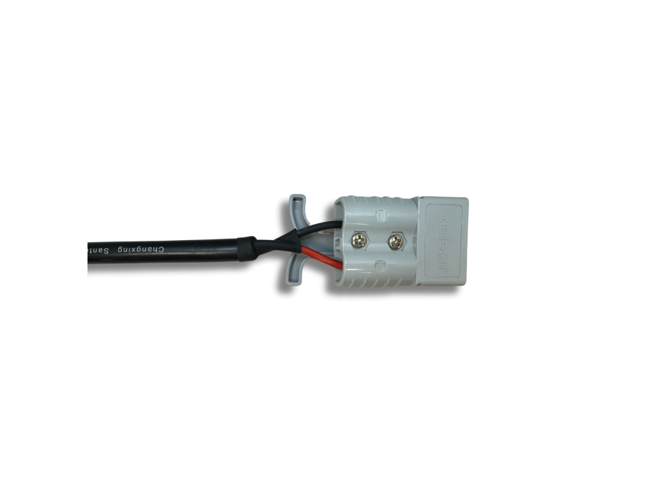Caricatore LiFePO4 48V 30A