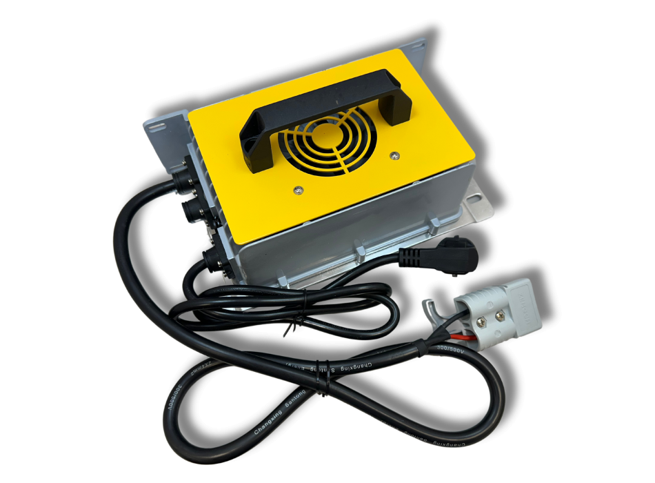 Caricatore LiFePO4 48V 30A