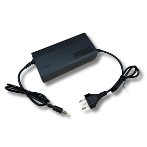 Caricatore LiFePO4 48V 4A