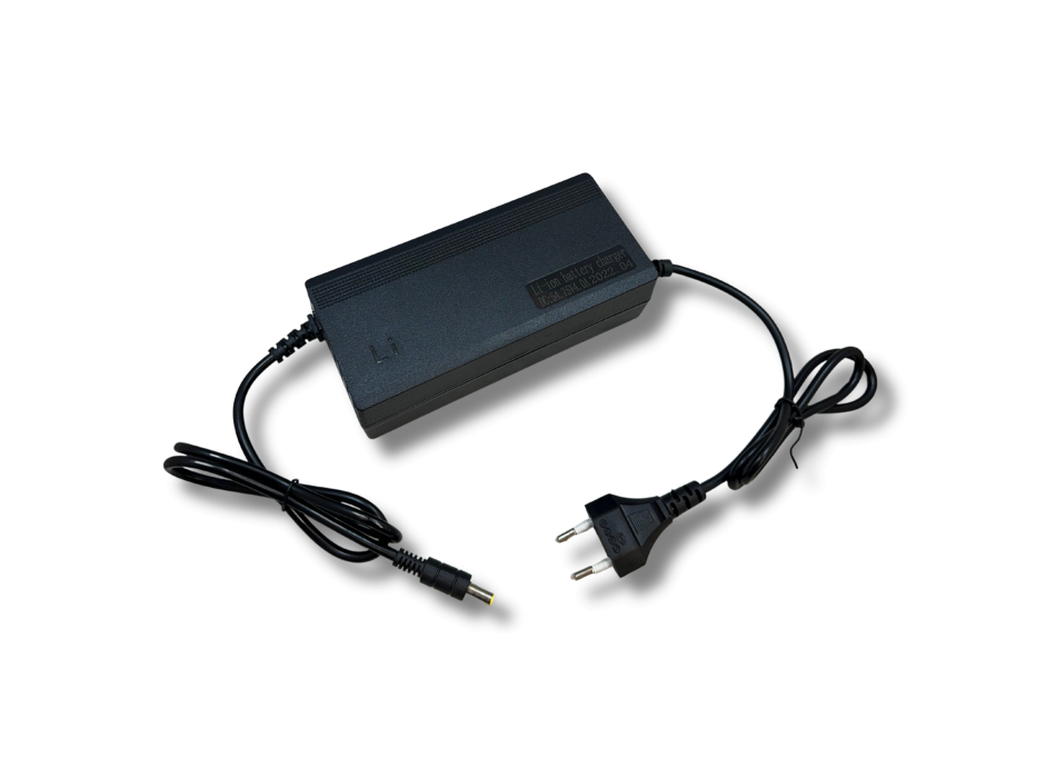 Caricatore LiFePO4 48V 4A