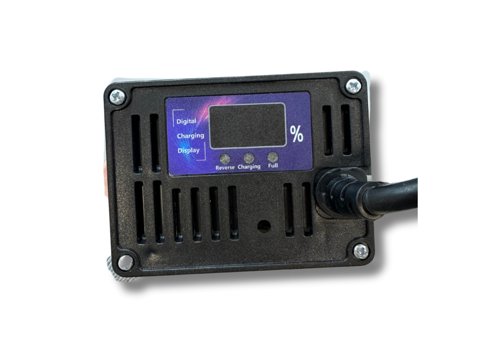 Caricatore LiFePO4 60V 20A
