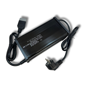 Caricatore LiFePO4 60V 20A