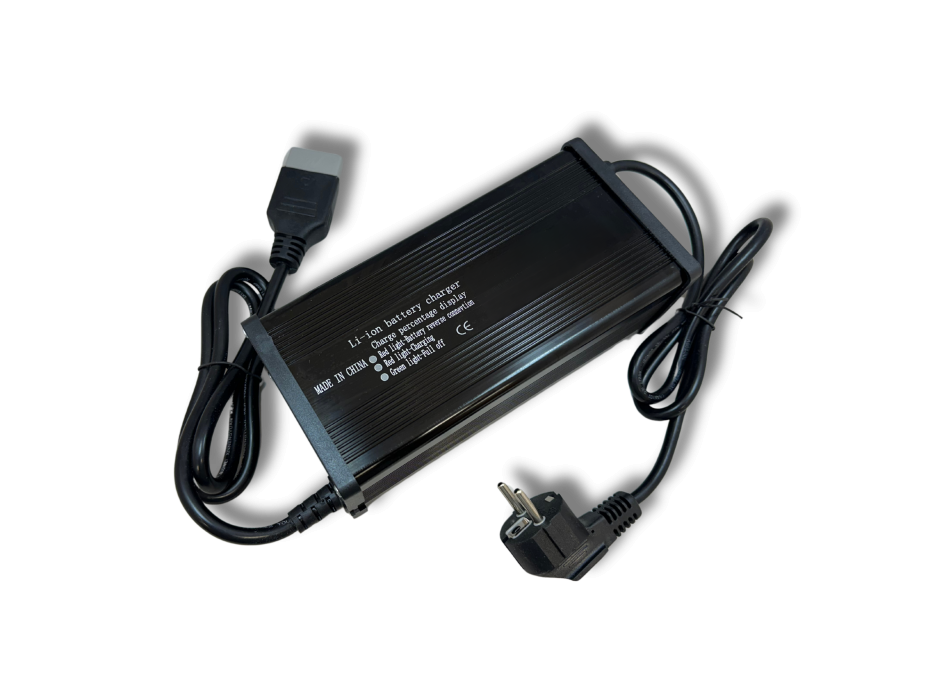 Caricatore LiFePO4 60V 20A